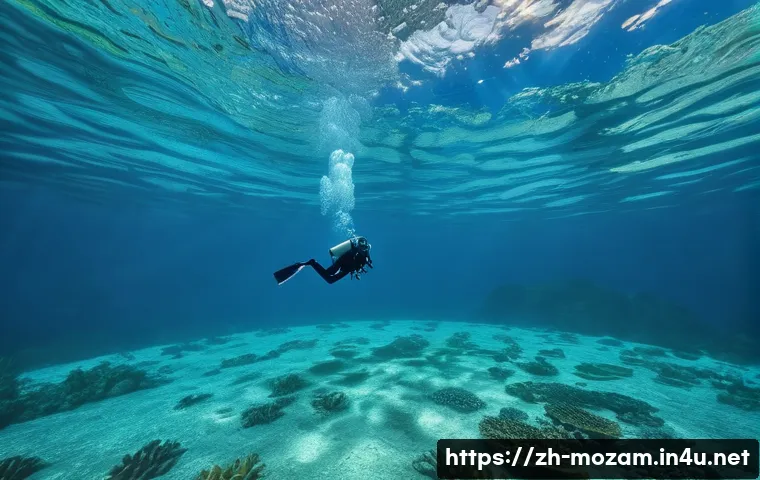 모잠비크에서 가장 아름다운 섬들 관련 이미지 1